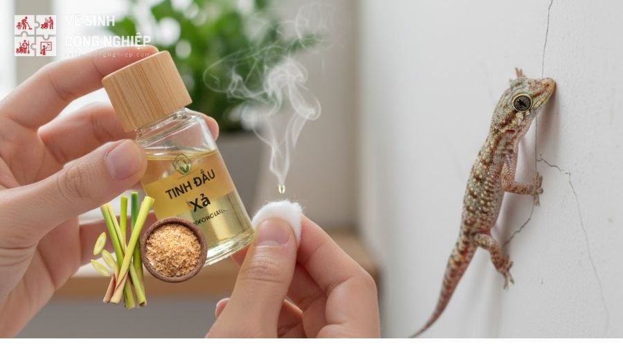 Đuổi thằn lằn bằng tinh dầu