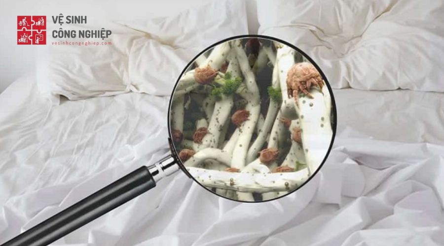 Cách khử mùi chăn đệm bị ẩm mốc do thời tiết