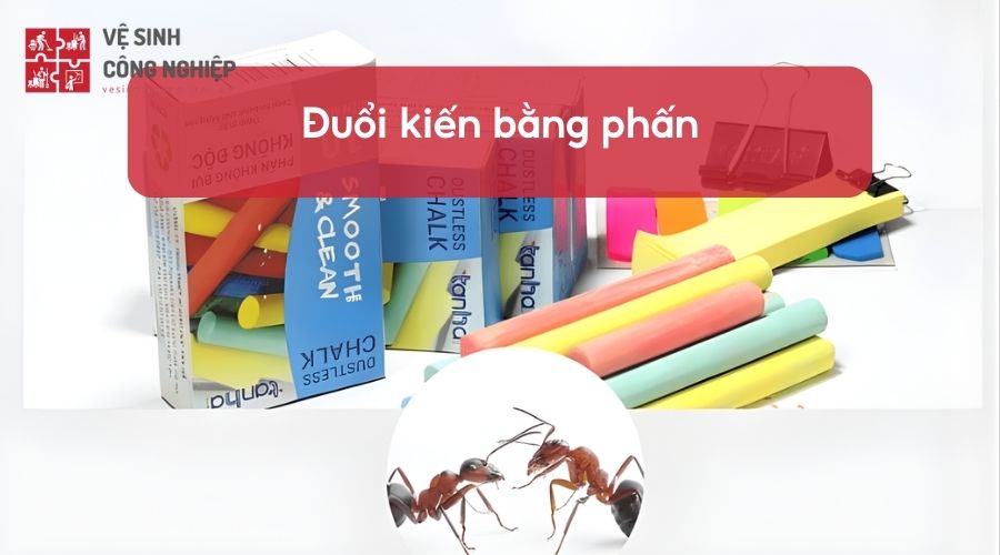 Cách đuổi kiến ra khỏi nhà bằng phấn