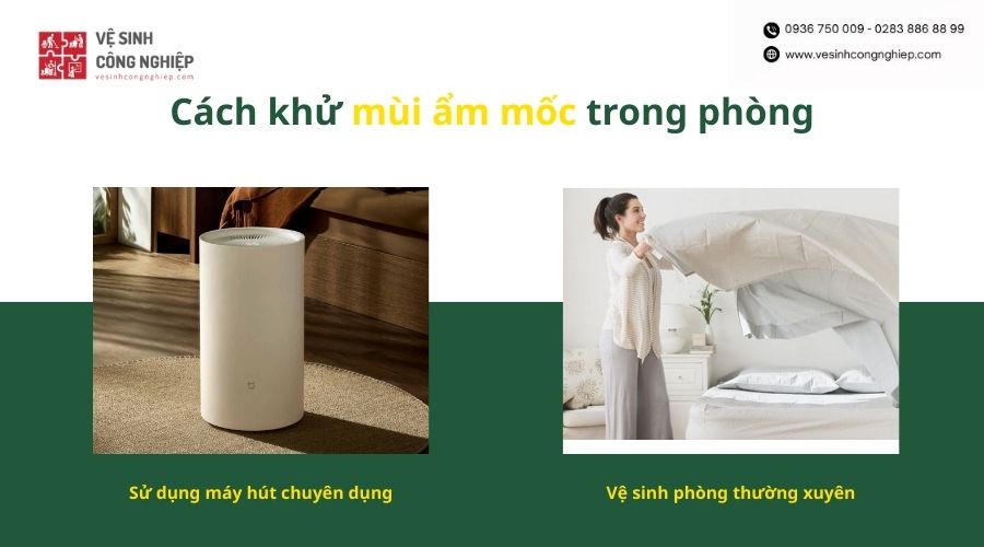 cách hút ẩm trong phòng kín