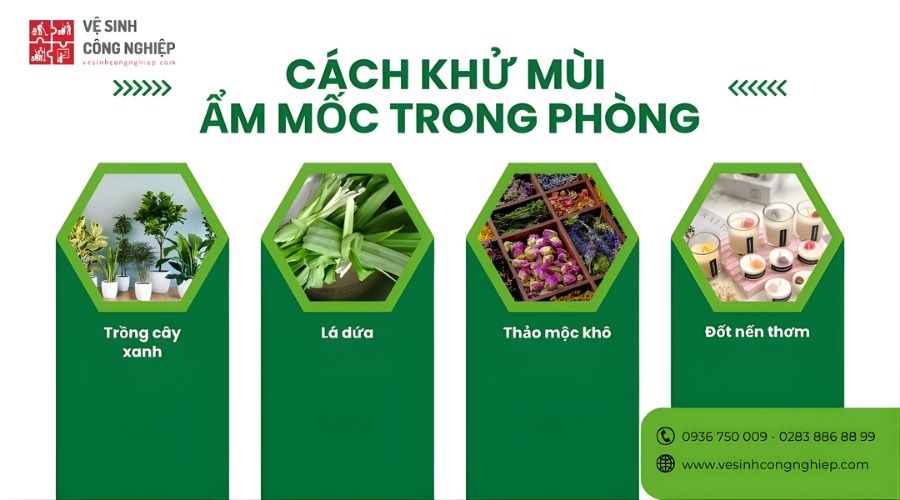 khử mùi ẩm mốc trong phòng