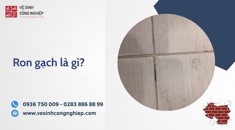 ron gạch là gì