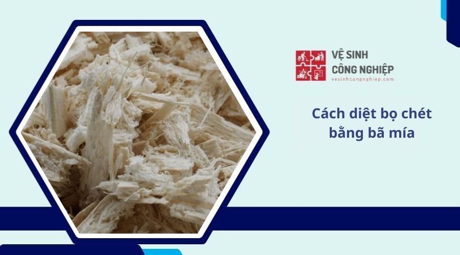 Cách diệt bọ chét bằng bã mía