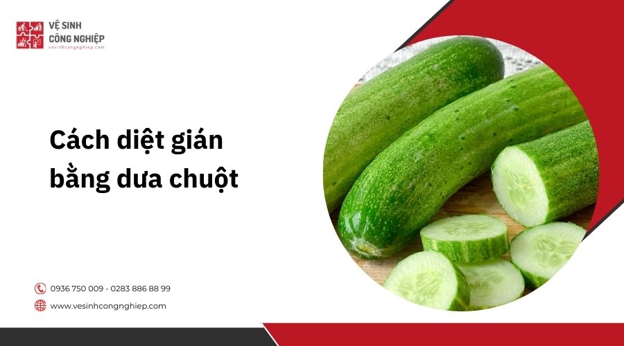 Cách diệt gián bằng dưa chuột