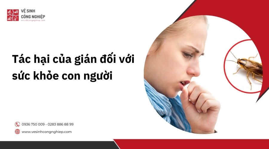 Tác hại của gián đối với sức khỏe con người