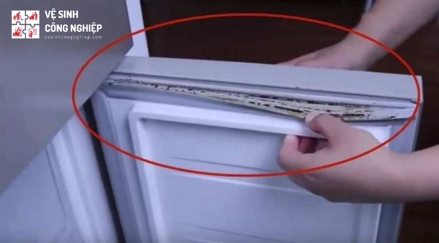 Không vệ sinh gioăng cao su tủ lạnh